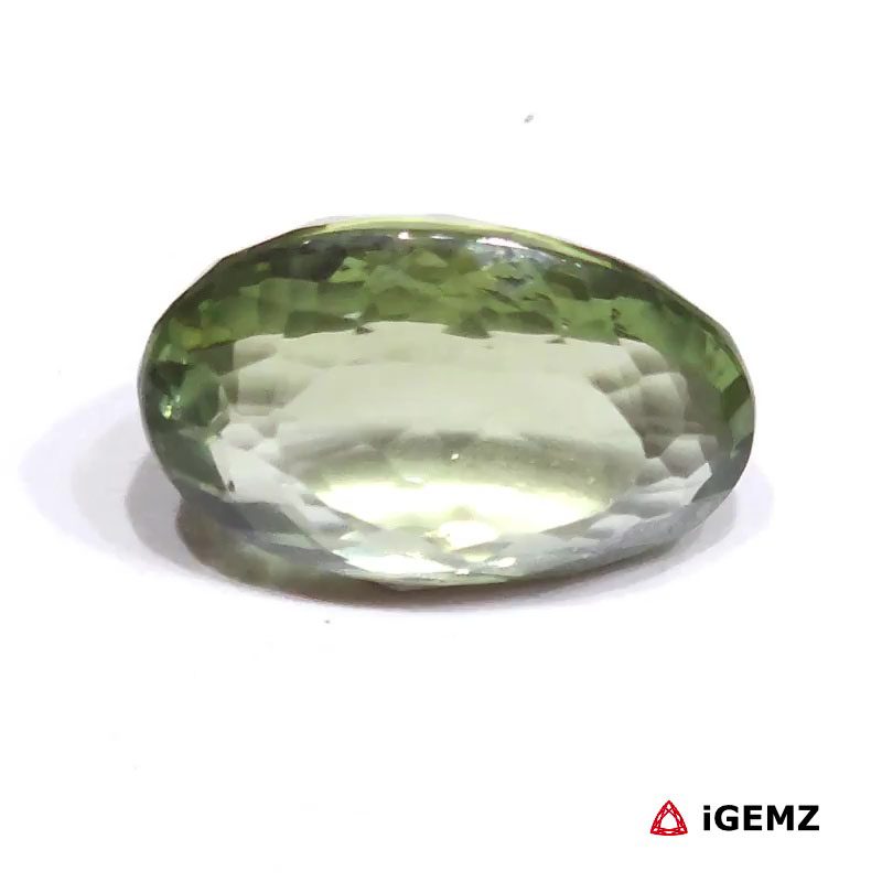 iGemz25138.1 iGemz25138.1