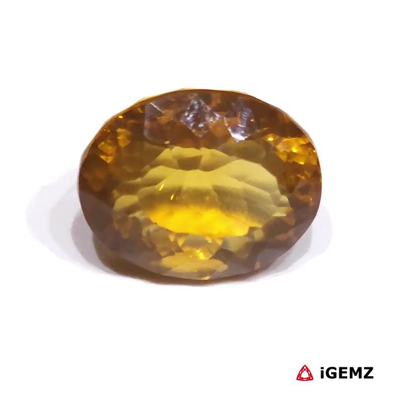 iGemz25143.1 iGemz25143.1