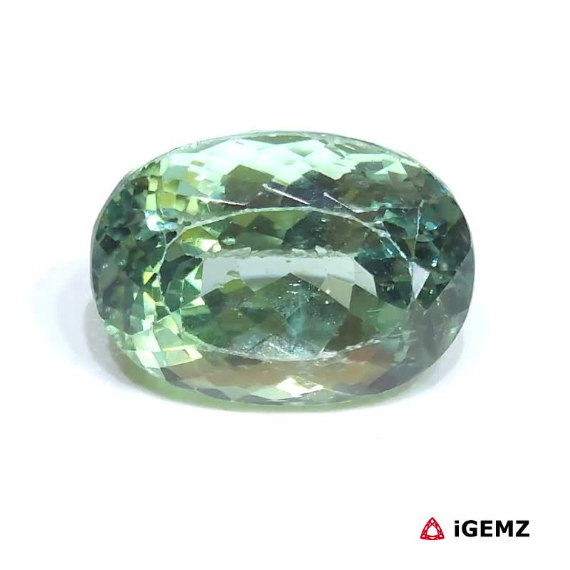 iGemz25163.1 21.6 ct Green Spodumene - iGemz25163