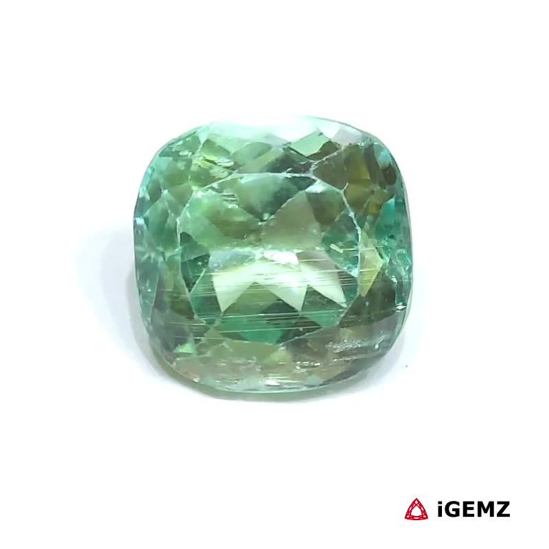 iGemz25166.1 11.4 ct Green Spodumene - iGemz25166