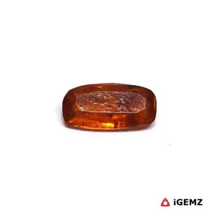 iGemz25671.1