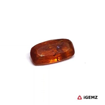 iGemz25671.2