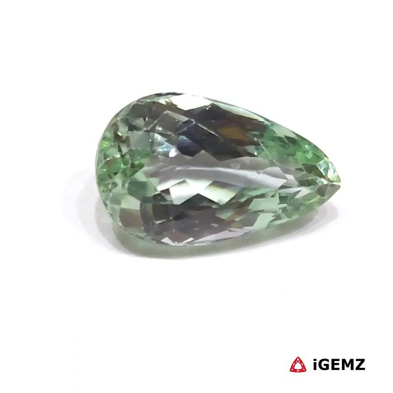 iGemz26189.1 14.2 ct Green Spodumene - iGemz26189