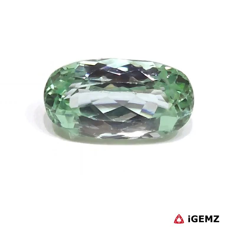 iGemz26190.1 16.5 ct Green Spodumene - iGemz26190