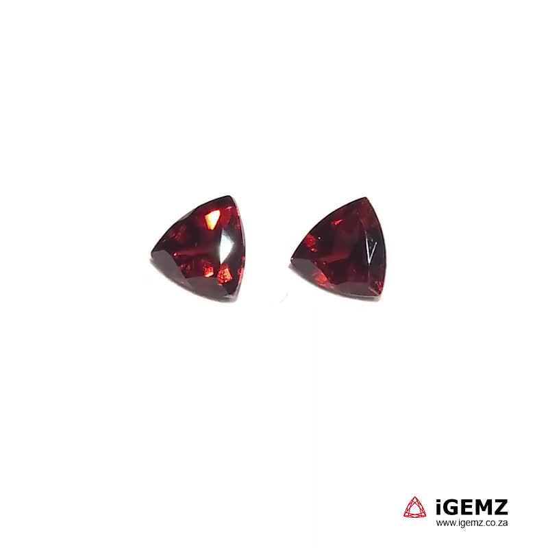 iGemz20199.1 2.81 ct Almandaine Garnet - iGemz20199