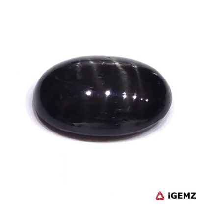 11.04 ct Black Star Diopside - iGemz23842