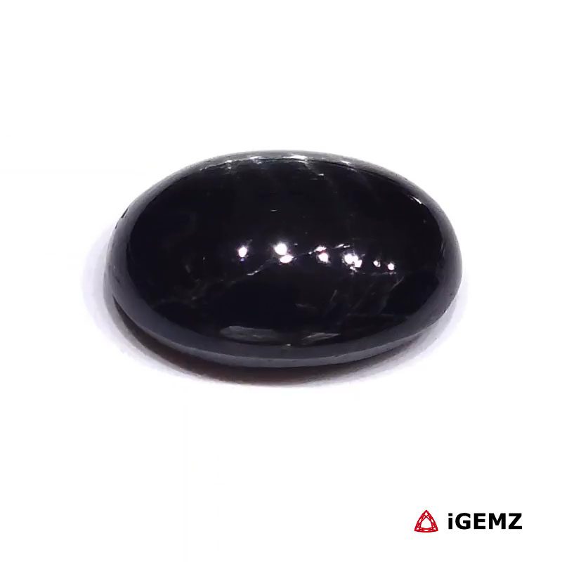 iGemz23848.1 11.9 ct Black Star Diopside - iGemz23848