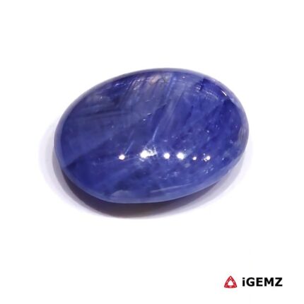 15.9 ct Blue Star Sapphire - iGemz23851