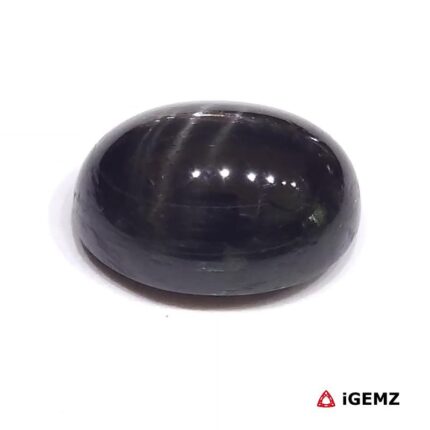 14.6 ct Black Star Diopside - iGemz23872