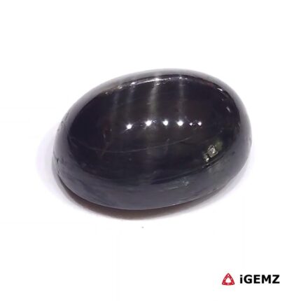 14.6 ct Black Star Diopside - iGemz23872