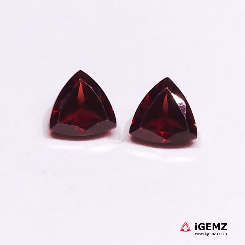 iGemz24141.1 2.74 ct Almandaine Garnet - iGemz24141
