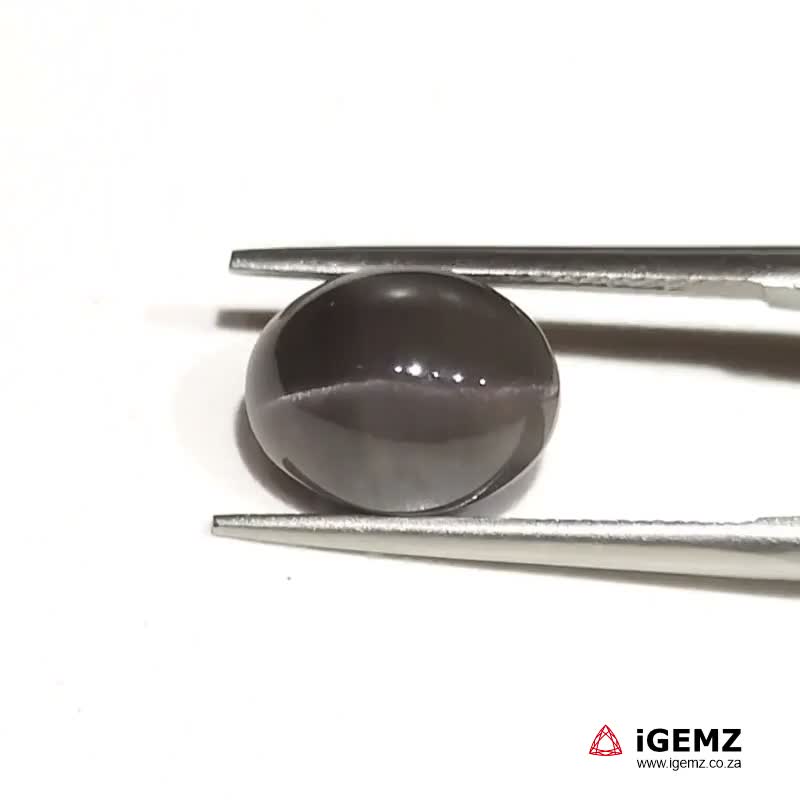 iGemz24152.1 4.55 ct Cat's Eye Sillimanite - iGemz24152