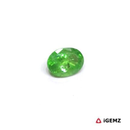 1.29 ct Green Garnet Tsavorite - iGemz25228