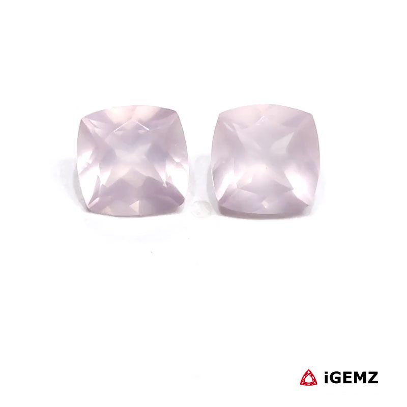 iGemz25240.1 iGemz25240.1