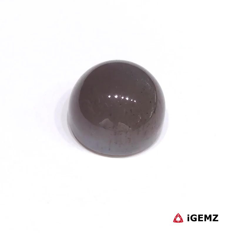 iGemz28943.1 2.4 ct Grey Moonstone - iGemz28943