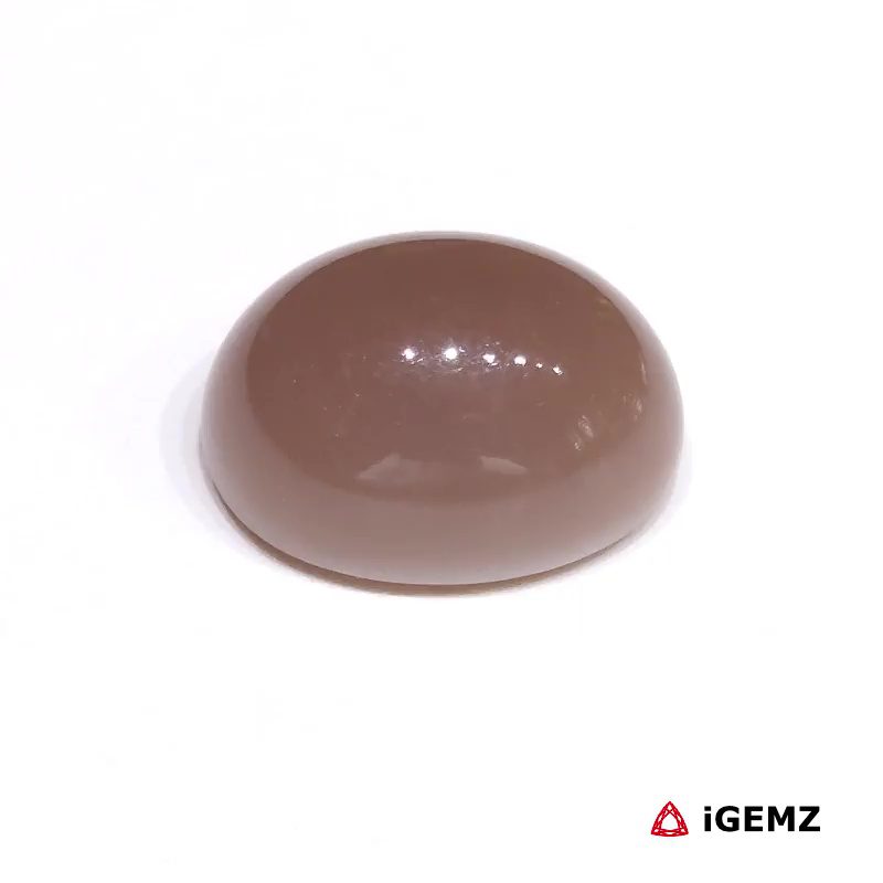 iGemz29081.1 23.95 ct Brown Moonstone - iGemz29081