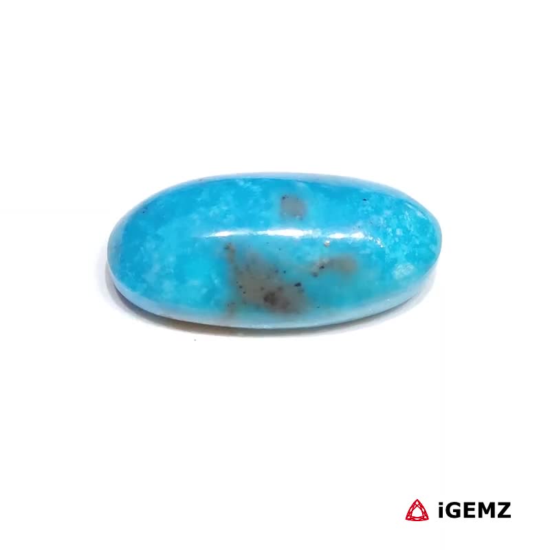 iGemz32601.1 11.6 ct Blue Persian Turquoise - iGemz32601