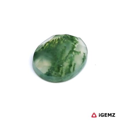 4.3 ct Green Moss Agate - iGemz24190 gemstone for sale at igemz.co.za