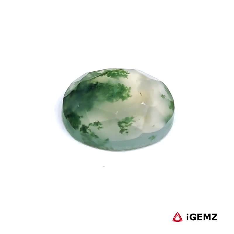 iGemz24192.1 4.21 ct Green Moss Agate - iGemz24192 gemstone for sale at igemz.co.za