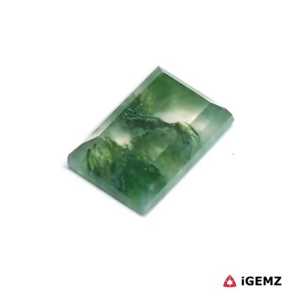 4.32 ct Green Moss Agate - iGemz24202 gemstone for sale at igemz.co.za