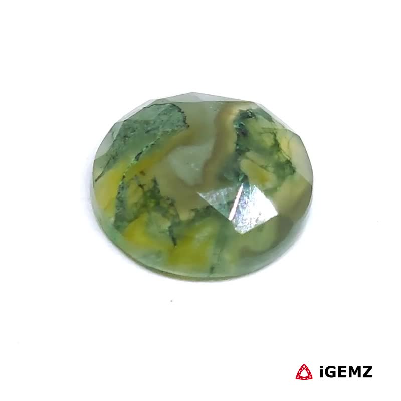 iGemz24205.1 7 ct Green Moss Agate - iGemz24205 gemstone for sale at igemz.co.za