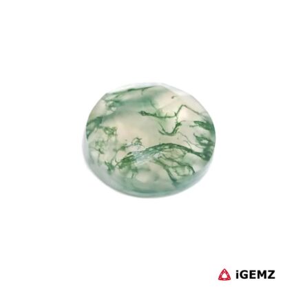 4.8 ct Green Moss Agate - iGemz24210 gemstone for sale at igemz.co.za