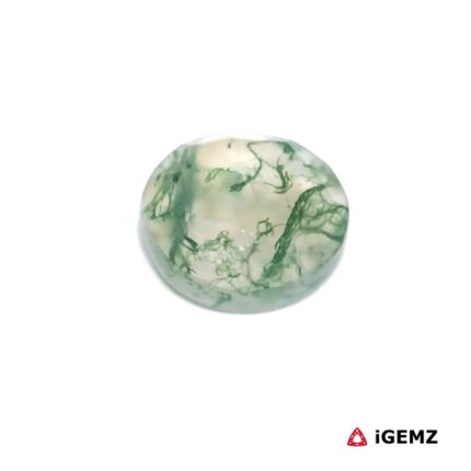 4.8 ct Green Moss Agate - iGemz24210 gemstone for sale at igemz.co.za