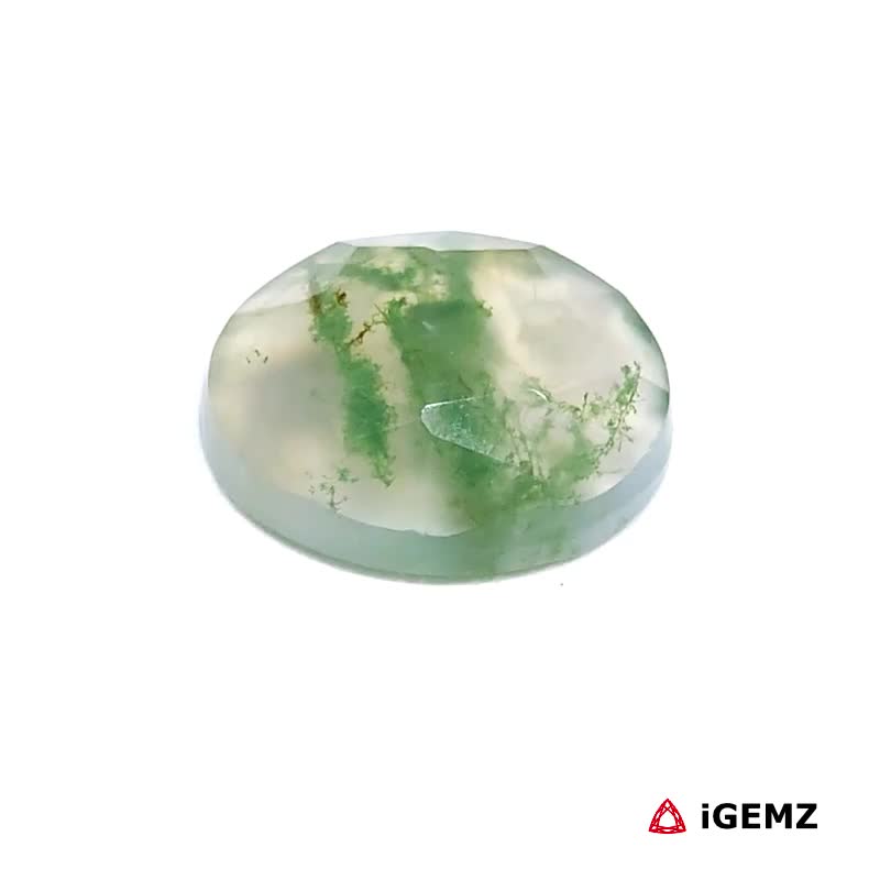 iGemz24221.1 6.2 ct Green Moss Agate - iGemz24221 gemstone for sale at igemz.co.za