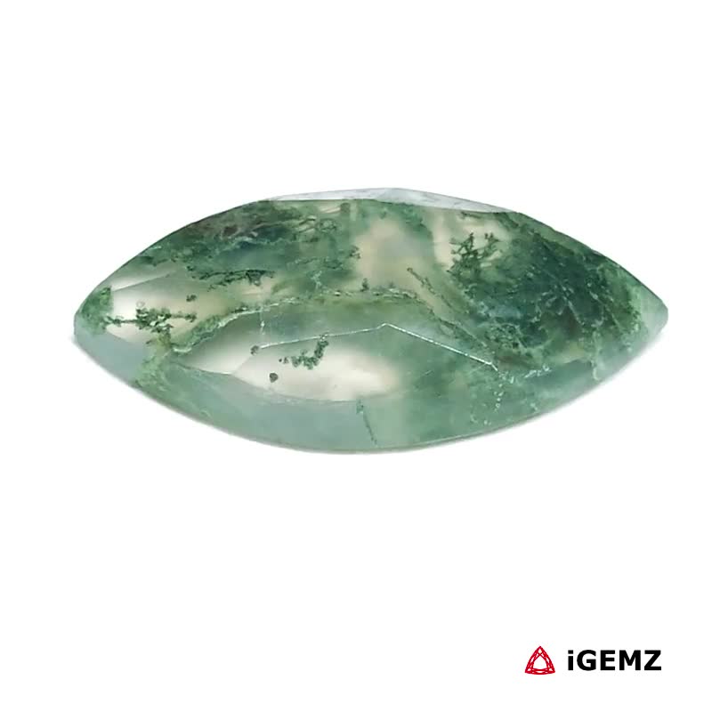 iGemz24222.1 7.33 ct Green Moss Agate - iGemz24222 gemstone for sale at igemz.co.za