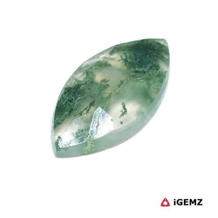 7.33 ct Green Moss Agate - iGemz24222 gemstone for sale at igemz.co.za