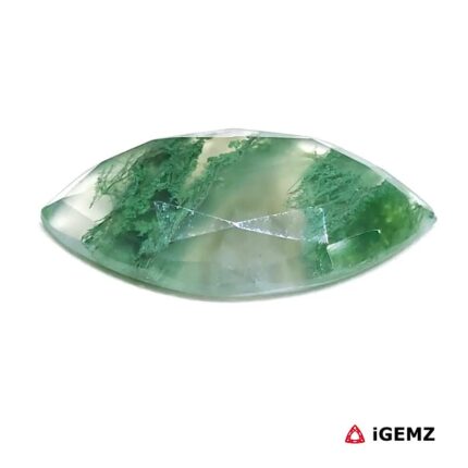 7.45 ct Green Moss Agate - iGemz24227 gemstone for sale at igemz.co.za