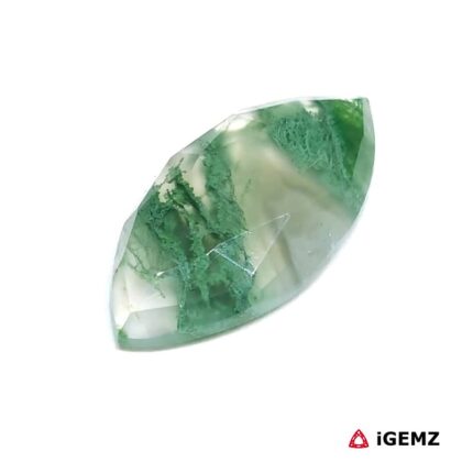 7.45 ct Green Moss Agate - iGemz24227 gemstone for sale at igemz.co.za