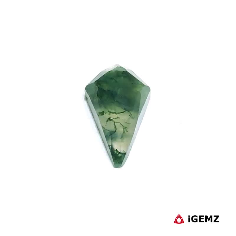 iGemz24234.1 2.36 ct Green Moss Agate - iGemz24234