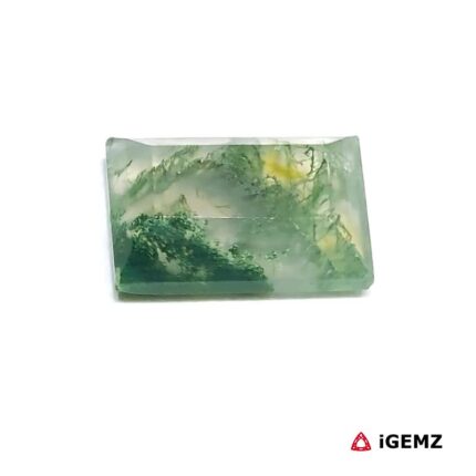 6.3 ct Green Moss Agate - iGemz24236