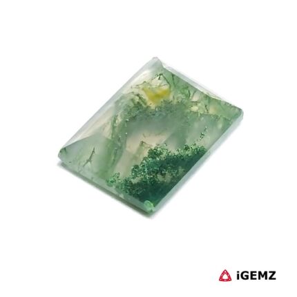 6.3 ct Green Moss Agate - iGemz24236