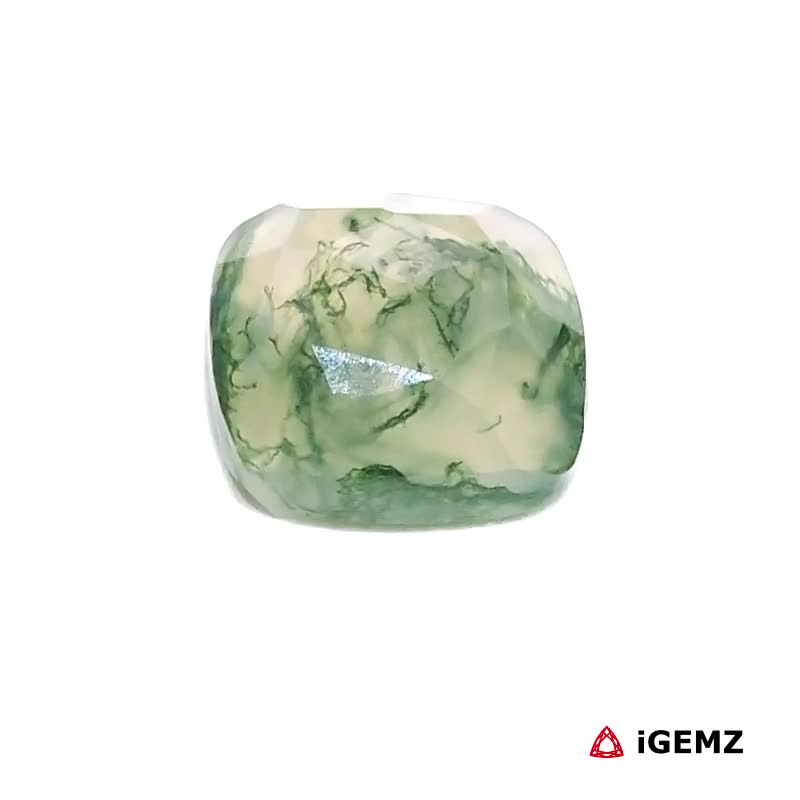 iGemz24242.1 5.11 ct Green Moss Agate - iGemz24242 gemstone for sale at igemz.co.za