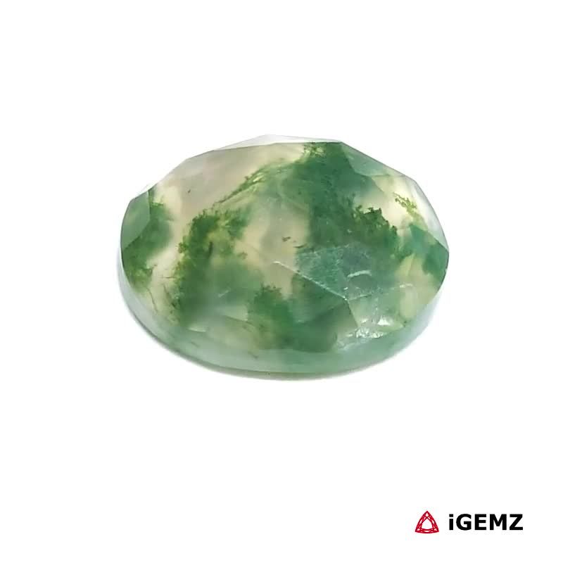 iGemz24247.1 6 ct Green Moss Agate - iGemz24247 gemstone for sale at igemz.co.za