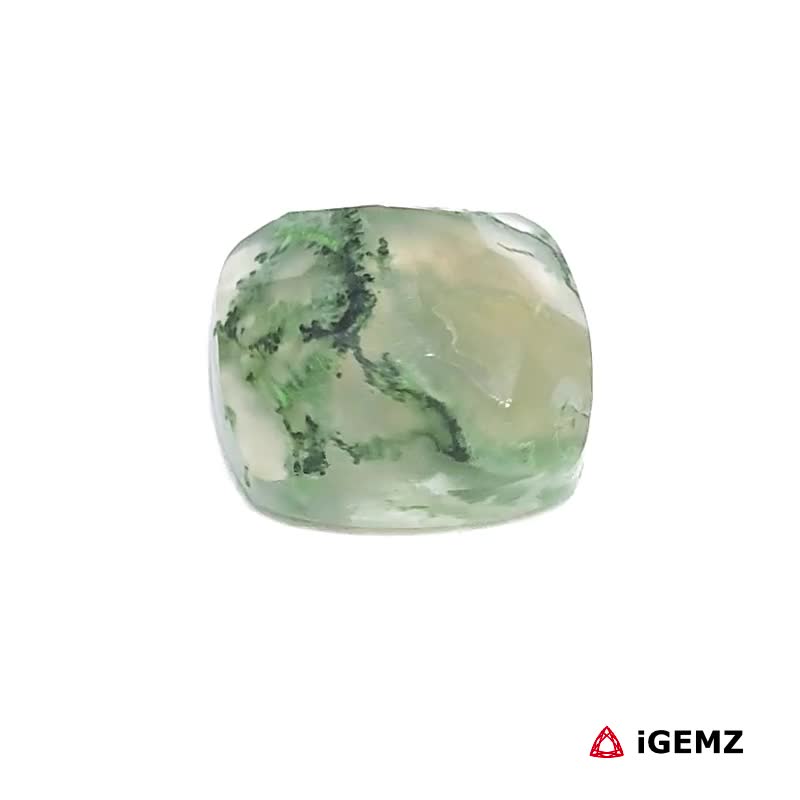 iGemz24254.1 4.92 ct Green Moss Agate - iGemz24254 gemstone for sale at igemz.co.za