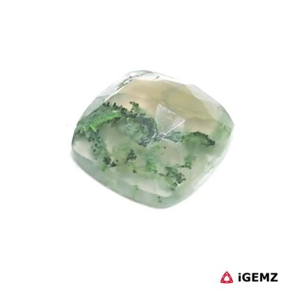4.92 ct Green Moss Agate - iGemz24254 gemstone for sale at igemz.co.za