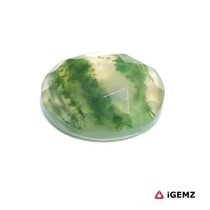 6.27 ct Green Moss Agate - iGemz24258 gemstone for sale at igemz.co.za