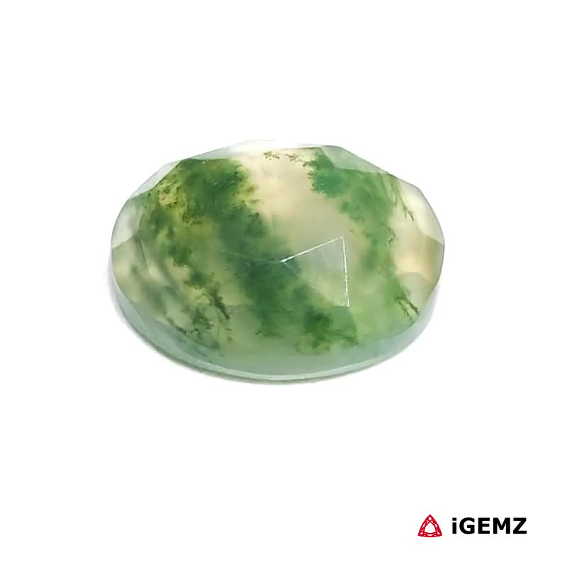 iGemz24258.1 6.27 ct Green Moss Agate - iGemz24258 gemstone for sale at igemz.co.za