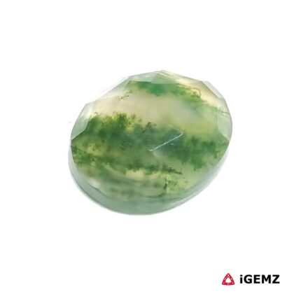 6.27 ct Green Moss Agate - iGemz24258 gemstone for sale at igemz.co.za