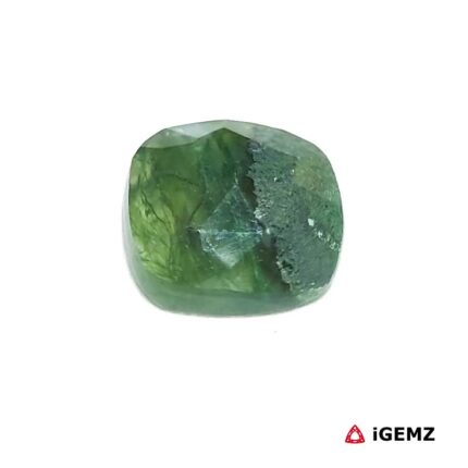 4.3 ct Green Moss Agate - iGemz24262 gemstone for sale at igemz.co.za