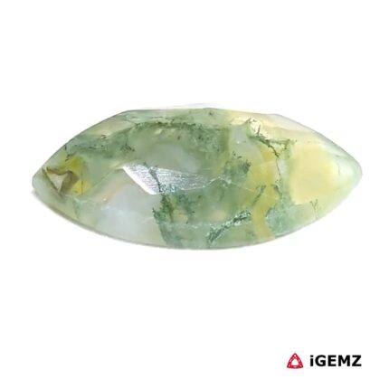 6.17 ct Green Moss Agate - iGemz24267