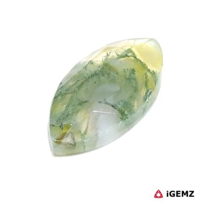 6.17 ct Green Moss Agate - iGemz24267