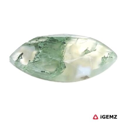 6.1 ct Green Moss Agate - iGemz24268