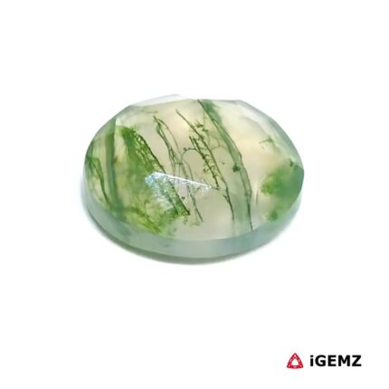 6.2 ct Green Moss Agate - iGemz24270