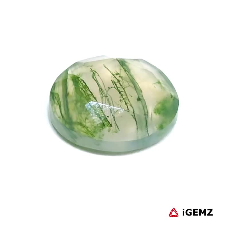 iGemz24270.1 6.2 ct Green Moss Agate - iGemz24270