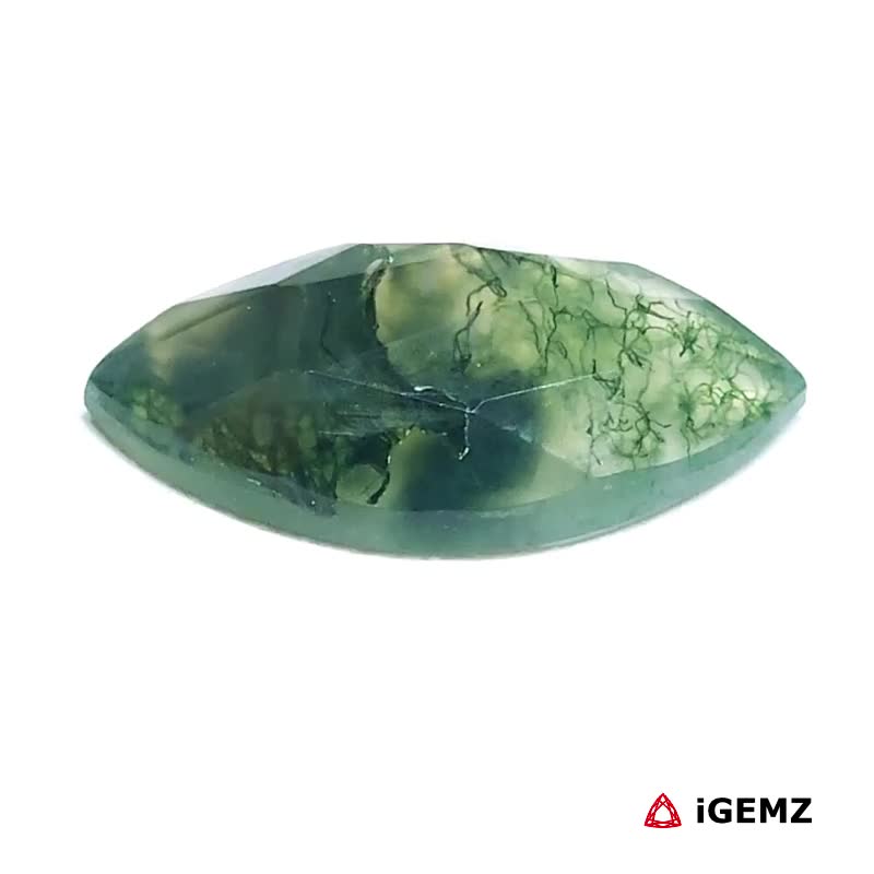 iGemz24272.1 6.28 ct Green Moss Agate - iGemz24272