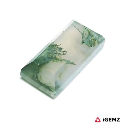 7.28 ct Green Moss Agate - iGemz24274